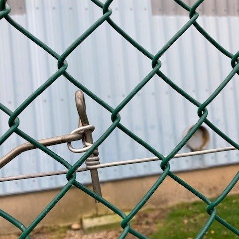 clôture grillage vert court de tennis / multisports zoom mailles