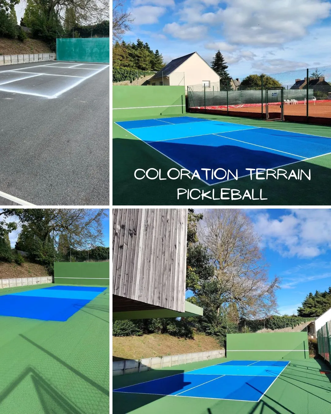 coloration terrain pickleball