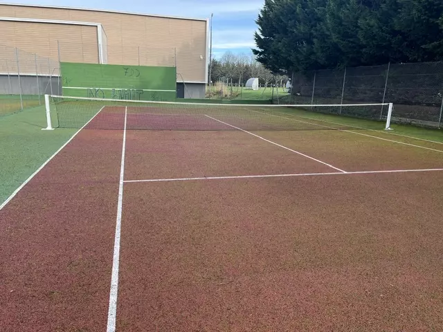mousse sur terrain tennis